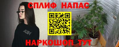 spice Камышлов