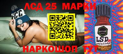 spice Камышлов